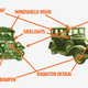 Illustration for article titled The Dark Secret Of The Only Car To Appear On American Paper Money